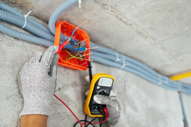 Best Local Electrician Companies  in Madelia, MN