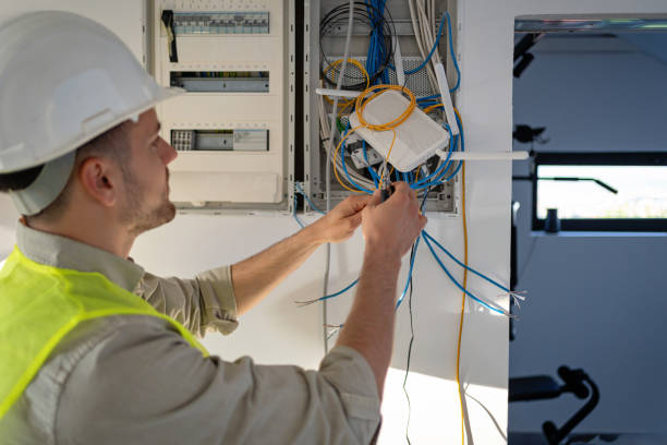 Best Electric Panel Repair  in Madelia, MN